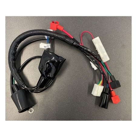 CABLAGGIO IMPIANTO ELETTRICO PIT BIKE KAYO TT190R 190cc ZS190