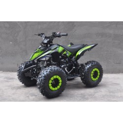 QUAD ATV RAPTOR 110 AUTOMATICO CON RETROMARCIA E RUOTE 7 POLLICI