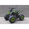 QUAD ATV RAPTOR 110 AUTOMATICO CON RETROMARCIA E RUOTE 7 POLLICI