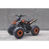 QUAD ATV RAPTOR 110 AUTOMATICO CON RETROMARCIA E RUOTE 7 POLLICI