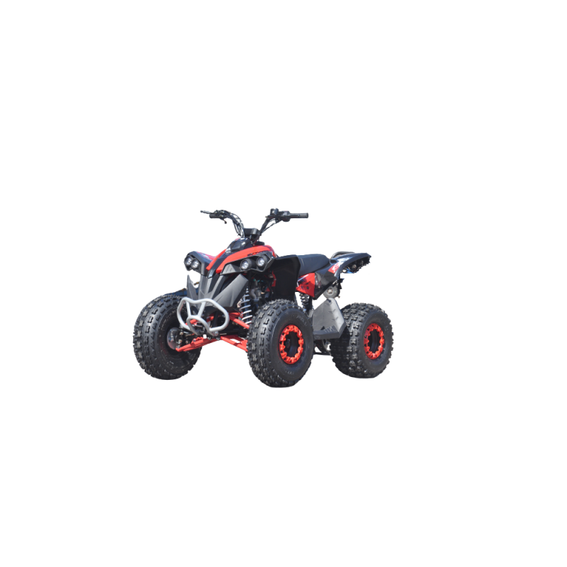 QUAD ATV RENEGADE 125 XXL RUOTE 8