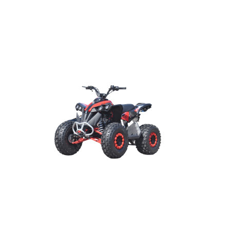 QUAD ATV RENEGADE 125 XXL RUOTE 8
