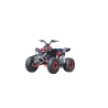QUAD ATV RENEGADE 125 XXL RUOTE 8