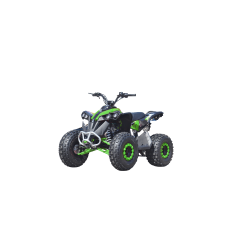 QUAD ATV RENEGADE 125 XXL RUOTE 8