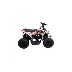 MINIQUAD ATV KAYO A50 49cc 2 TEMPI RUOTE XL 13X5-6