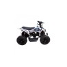 MINIQUAD ATV KAYO A50 49cc 2 TEMPI RUOTE XL 13X5-6