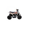 MINIQUAD ATV KAYO A50 49cc 2 TEMPI RUOTE XL 13X5-6