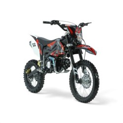 PIT BIKE  612 E+K ADLER 140cc 17/14