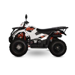 QUAD KAYO AU300 OMOLOGATO T3 G targa gialla 2 posti
