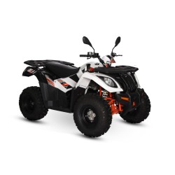 QUAD KAYO AU300 OMOLOGATO T3 G targa gialla 2 posti