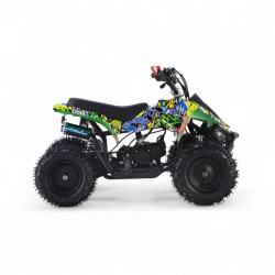 MINIQUAD APOLLO 49CC R6