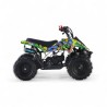 MINIQUAD APOLLO 49CC R6