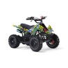 MINIQUAD APOLLO 49CC R6
