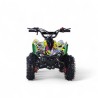 MINIQUAD APOLLO 49CC R6