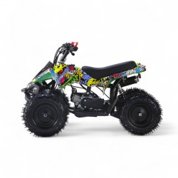 MINIQUAD APOLLO 49CC R6