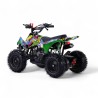 MINIQUAD APOLLO 49CC R6