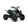 MINIQUAD APOLLO 49CC R6