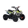 MINIQUAD APOLLO 49CC R6